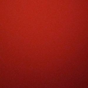 Meet your Posher, Delilah